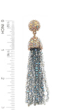 Aamna Earrings